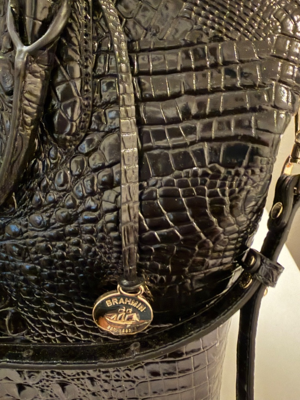Brahmin - Picture 3 of 8